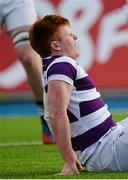 3 March 2015; Donal Mongey, Clongowes Wood College, reacts after picking up a head injury. Bank of Ireland Leinster Schools Senior Cup Semi-Final, Clongowes Wood College v Belvedere College, Donnybrook Stadium, Donnybrook, Dublin. Picture credit: Piaras Ó Mídheach / SPORTSFILE
