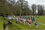 7 March 2015; A general view during the Intermediate Boy's race during the GloHealth All Ireland Schools Cross Country Championships. Clongowes Wood College, Co. Kildare. Picture credit: Ramsey Cardy / SPORTSFILE