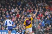 10 February 2008; Wexford's Stephen Nolan celebrates after scoring a late point. Allianz National Hurling League, Division 1A, Round 1, Waterford v Wexford, Walsh Park, Waterford. Picture credit; Brian Lawless / SPORTSFILE