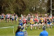 7 March 2015; A general view during the Intermediate Boy's race at the GloHealth All Ireland Schools Cross Country Championships. Clongowes Wood College, Co. Kildare. Picture credit: Ramsey Cardy / SPORTSFILE