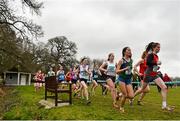 7 March 2015; A general view during the Intermediate Girl's race at the GloHealth All Ireland Schools Cross Country Championships. Clongowes Wood College, Co. Kildare. Picture credit: Ramsey Cardy / SPORTSFILE