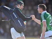 8 March 2015; Limerick goalkeeper Nickie Quaid, celebrates with Stephen Walsh, at the end of the game. Allianz Hurling League, Division 1A, Round 3, Wexford v Limerick, Wexford Park, Wexford. Picture credit: David Maher / SPORTSFILE