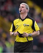 8 March 2015; , Referee Johnny Ryan. Allianz Hurling League, Division 1A, Round 3, Wexford v Limerick, Wexford Park, Wexford. Picture credit: David Maher / SPORTSFILE