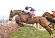 16 February 2008; Kicking King, with Barry Geraghty up, during The Red Mills Steeplechase. Gowran Park, Co. Kilkenny. Picture credit; Matt Browne / SPORTSFILE