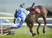 16 February 2008; David Splaine falls from his mount Tallahasselassie during The Shantou at Burgage Stud Maiden Hurdle. Gowran Park, Co. Kilkenny. Picture credit; Matt Browne / SPORTSFILE
