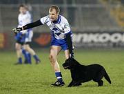 16 February 2008; DIck Clerkin, Monaghan, escorts a stray dog off the field. Allianz National Football League, Division 2, Round 2, Cavan v Monaghan, Kingspan Breffni Park, Cavan. Picture credit; Oliver McVeigh / SPORTSFILE