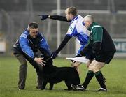 16 February 2008; Monaghan's DIck Clerkin with the help of an officall and the linesman escort a stray dog off the field. Allianz National Football League, Division 2, Round 2, Cavan v Monaghan, Kingspan Breffni Park, Cavan. Picture credit; Oliver McVeigh / SPORTSFILE