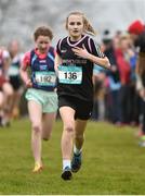 7 March 2015; Gaby Louch, St Dominic's Cabra, during the Minor Girls race at the GloHealth All Ireland Schools Cross Country Championships. Clongowes Wood College, Co. Kildare. Picture credit: Ramsey Cardy / SPORTSFILE