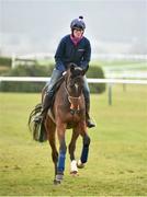 9 March 2015; Douvan on the gallops ahead of the Cheltenham Racing Festival 2015. Prestbury Park, Cheltenham, England. Picture credit: Ramsey Cardy / SPORTSFILE