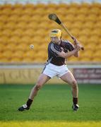 17 February 2008; Ger Farragher, Galway. Allianz National Hurling League, Division 1B, Round 2, Offaly v Galway, O'Connor Park, Tullamore, Co. Offaly. Picture credit; Pat Murphy / SPORTSFILE *** Local Caption ***