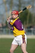 17 February 2008; Paul Roche, Wexford. Allianz National Hurling League, Division 1A, Round 2, Antrim v Wexford, Dunloy, Co. Antrim. Picture credit; Oliver McVeigh / SPORTSFILE