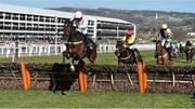 10 March 2015; Douvan, with Ruby Walsh up, jumps the last, ahead of Sizing John, second from right, and Shaneshill, on the way to winning the Supreme Novices' Hurdle. Cheltenham Racing Festival 2015, Prestbury Park, Cheltenham, England. Picture credit: Ramsey Cardy / SPORTSFILE