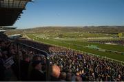 10 March 2015; A general view from the main stand at the Cheltenham Racing Festival 2015, Prestbury Park, Cheltenham, England. Picture credit: Matt Browne / SPORTSFILE
