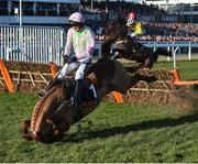 10 March 2015; Annie Power, with Ruby Walsh up, is dismounted at the final fence in the David Nicholson Mares' Hurdle. Cheltenham Racing Festival 2015, Prestbury Park, Cheltenham, England. Picture credit: Ramsey Cardy / SPORTSFILE