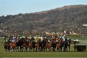10 March 2015; A view of the start of the CHAPS Restaurant Barbados Novices' Handicap Chase. Cheltenham Racing Festival 2015, Prestbury Park, Cheltenham, England. Picture credit: Ramsey Cardy / SPORTSFILE