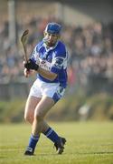 17 February 2008; James Young, Laois. Allianz National Hurling League, Division 1B, Round 2, Clare v Laois, Scarriff, Co. Clare. Picture credit; Ray McManus / SPORTSFILE