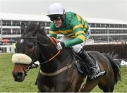 11 March 2015; Mr Mole, with Tony McCoy up, during the Queen Mother Champion Chase. Cheltenham Racing Festival 2015, Prestbury Park, Cheltenham, England. Picture credit: Ramsey Cardy / SPORTSFILE