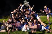 11 March 2015; UL players celebrate with the cup. Independent.ie Fitzgibbon Cup Final, Replay, University of Limerick v Waterford Institute of Technology, Pairc Ui Rinn, Cork. Picture credit: David Maher / SPORTSFILE