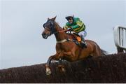2 March 2015; Uxizandre, with Tony McCoy up, jumps the last on their way to winning the Ryanair Chase. Cheltenham Racing Festival 2015, Prestbury Park, Cheltenham, England. Picture credit: Ramsey Cardy / SPORTSFILE