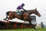 13 March 2015; Wicklow Brave, with Paul Townend up, on the way to winning the County Handicap Hurdle. Cheltenham Racing Festival 2015, Prestbury Park, Cheltenham, England. Picture credit: Ramsey Cardy / SPORTSFILE