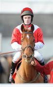 16 February 2008; Sean Flanagan on Scarthy Lad before the start of the The Red Mills Centenary Trial Hurdle. Gowran Park, Co. Kilkenny. Picture credit; Matt Browne / SPORTSFILE