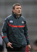 15 March 2015; Cork manager Jimmy Barry Murphy. Allianz Hurling League Division 1A Round 4, Galway v Cork. Pearse Stadium, Galway. Picture credit: Ray Ryan / SPORTSFILE