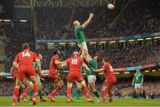 14 March 2015; Paul O'Connell, Ireland, wins a lineout against Wales. RBS Six Nations Rugby Championship, Wales v Ireland, Millennium Stadium, Cardiff, Wales. Picture credit: Brendan Moran / SPORTSFILE