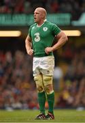 14 March 2015; Paul O'Connell, Ireland. RBS Six Nations Rugby Championship, Wales v Ireland, Millennium Stadium, Cardiff, Wales. Picture credit: Brendan Moran / SPORTSFILE