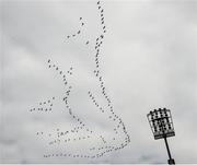 17 March 2015; A flock of geese fly past before the game. AIB GAA Football All-Ireland Senior Club Championship Final, Corofin, Co Galway, v Slaughtneil, Co Derry. Croke Park, Dublin. Picture credit: Ray McManus / SPORTSFILE