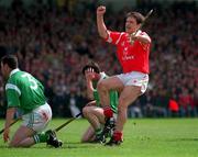 31 May 1998; Alan Browne of Cork celebrates after scoring his side's opening goal during the Guinness Munster Senior Hurling Championship Quarter-Final match between Limerick and Cork at the Gaelic Grounds in Limerick. Photo by Ray Lohan/Sportsfile