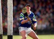 26 March 2000; Brendan Landers of Waterford during the Church & General National Hurling League Division 1B Round 4 match between Waterford and Cork at Walsh Park in Waterford. Photo by Aoife Rice/Sportsfile