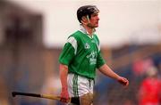 4 June 2000; Dave Hennessy of Limerick during the Guinness Munster Senior Hurling Championship Semi-Final match between Cork and Limerick at Semple Stadium in Thurles, Tipperary. Photo by Ray McManus/Sportsfile