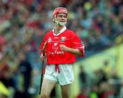 4 June 2000; Sean McGrath of Cork after scoring a goal during the Guinness Munster Senior Hurling Championship Semi-Final match between Cork and Limerick at Semple Stadium in Thurles, Tipperary. Photo by Ray McManus/Sportsfile