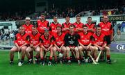 11 June 2000; The Down team prior to the Guinness Ulster Senior Hurling Championship Semi-Final match between Derry and Down at Casement Park in Belfast. Photo by Aoife Rice/Sportsfile
