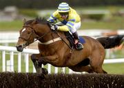 28 April 2004; Prince of Pleasure, with Danny Howard up, jumps the last on their way to winning the SM Morris Handicap Steeplechase at Punchestown Racecourse in Kildare. Photo by Matt Browne/Sportsfile