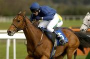 29 April 2004; Rhinestone Cowboy, with JP Magnier up, on the way to winning the Ballymore Properties Champion Stayers' Hurdle at Punchestown Racecourse in Kildare. Photo by Matt Browne/Sportsfile