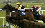 30 April 2004; Liscannor Lad, with Paddy Flood up, 13, jumps the last on their way to winning the Sharp Minds Betfair Novice Handicap Chase, from second placed Ride The Storm, with Mark Grant up, at Punchestown Racecourse in Kildare. Photo by Matt Browne/Sportsfile