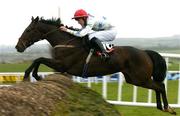 30 April 2004; Take Aim, with Andrew McNamara up, jumps the last on the way to winning the CSL Hospitality Chase at Punchestown Racecourse in Kildare. Photo by Matt Browne/Sportsfile