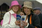 30 April 2004; Aisling Fennin, left, and Rosemarry Heydon, from Kildare, pictured during Ladies Day at Punchestown Racecourse in Kildare. Photo by Matt Browne/Sportsfile
