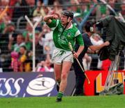 4 June 2000; James Butler of Limerick celebrates after scoring his side's goal during the Guinness Munster Senior Hurling Championship Semi-Final match between Cork and Limerick at Semple Stadium in Thurles, Tipperary. Photo by Ray McManus/Sportsfile
