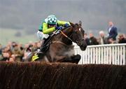 14 March 2008; Denman, with Sam Thomas up, clears the last on their way to winning the totesport Cheltenham Gold Cup Steeplechase. Cheltenham Racing Festival, Prestbury Park, Cheltenham, England. Picture credit; David Maher / SPORTSFILE