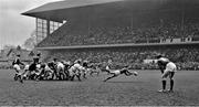 24 February 1968; A general view of action. Five Nations Rugby International, Ireland v Scotland. Lansdowne Road, Dublin. Picture credit: Connolly Collection / SPORTSFILE