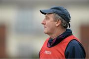 15 March 2015; Westmeath manager Michael Ryan. Allianz Hurlingl League, Division 4, Round 5, Westmeath v Wicklow, Cusack Park, Mullingar, Co. Westmeath. Picture credit: Matt Browne / SPORTSFILE