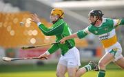 16 March 2008; Niall Moran, Limerick, in action against Diarmuid Horan, Offaly. Allianz National Hurling League, Division 1B, Round 4, Offaly v Limerick, Tullamore, Co. Offaly. Picture credit; David Maher / SPORTSFILE