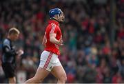 22 March 2015; Patrick Horgan, Cork, celebrates after scoring his side's fourth goal. Allianz Hurling League Division 1A, round 5, Cork v Tipperary, Páirc Uí Rinn, Cork. Photo by Sportsfile