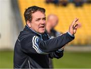 22 March 2015; The Clare manager Davy Fitzgerald. Allianz Hurling League Division 1A, round 5, Kilkenny v Clare, Nowlan Park, Kilkenny. Picture credit: Ray McManus / SPORTSFILE