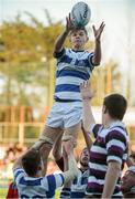 22 March 2015; James Burke, Blackrock College, secures a lineout. Bank of Ireland Leinster Schools Junior Cup Final in association with Beauchamps Solicitors, Blackrock College v Terenure College, Donnybrook Stadium, Donnybrook, Dublin. Picture credit: Cody Glenn / SPORTSFILE