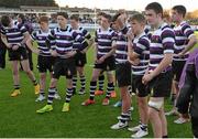 22 March 2015; Terenure College players look on dejectedly after their defeat. Bank of Ireland Leinster Schools Junior Cup Final in association with Beauchamps Solicitors, Blackrock College v Terenure College, Donnybrook Stadium, Donnybrook, Dublin. Picture credit: Cody Glenn / SPORTSFILE