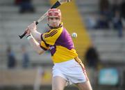 16 March 2008; Paul Roche, Wexford. Allianz National Hurling League, Division 1A, Round 4, Wexford v Dublin, Wexford Park, Wexford. Picture credit; Matt Browne / SPORTSFILE