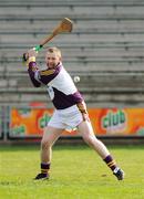 16 March 2008; Damien Fitzhenry, Wexford. Allianz National Hurling League, Division 1A, Round 4, Wexford v Dublin, Wexford Park, Wexford. Picture credit; Matt Browne / SPORTSFILE